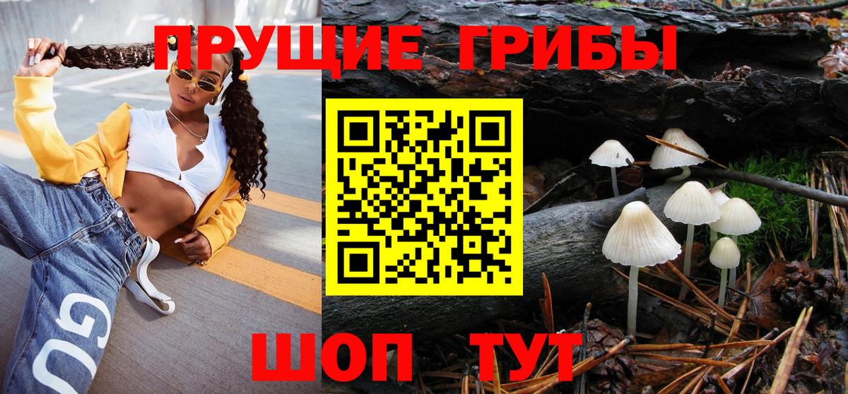 Псилоцибиновые грибы мицелий  Псилоцибиновые грибы GOLDEN TEACHER  Вход с VPN  Камень-на-Оби 