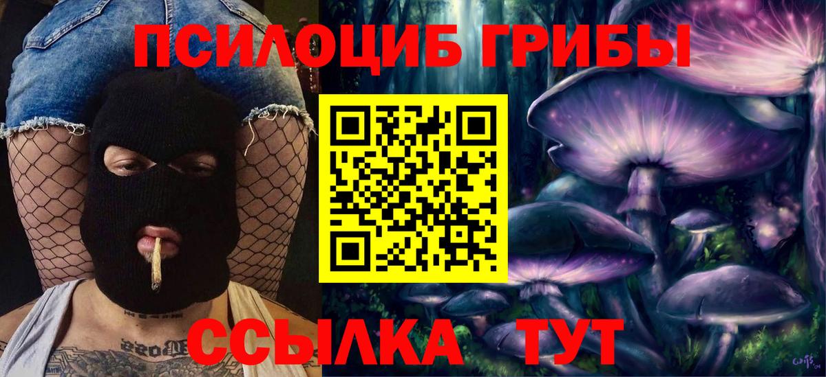 Псилоцибиновые грибы мухоморы Камень-на-Оби