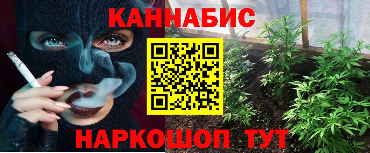 Канабис конопля Камень-на-Оби